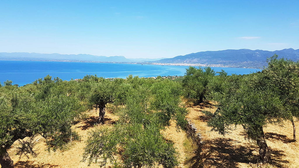 Ο Λόφος της Σάντοβας - Περιοχή - Μεγάλη Μαντίνεια